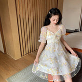 lutaotie Fairycore Spring Evening Off Shoulder Dress