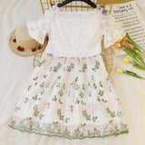 lutaotie Evening Tea Princesscore Dress