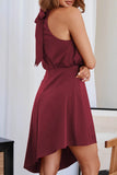 Lutaotie Celebrities Elegant Solid Asymmetrical Halter Irregular Dress Dresses