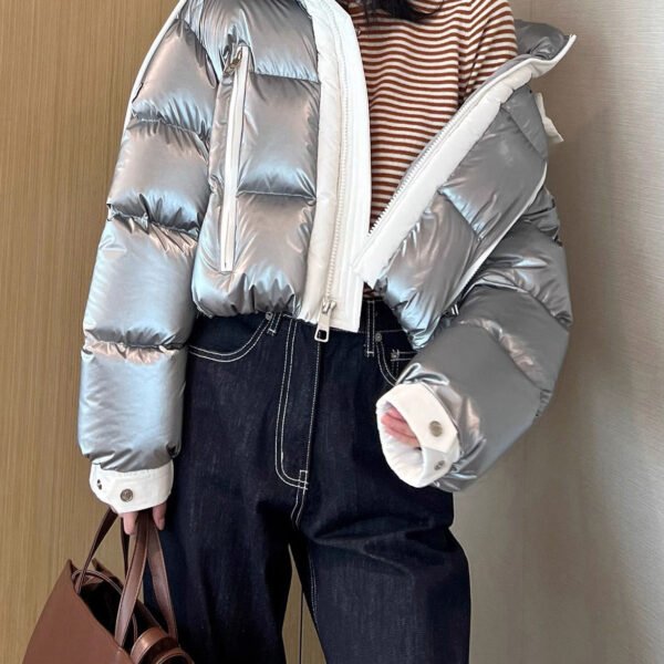 Casual Silvery Hooded Patchwork Duck Down Down Coat Winter